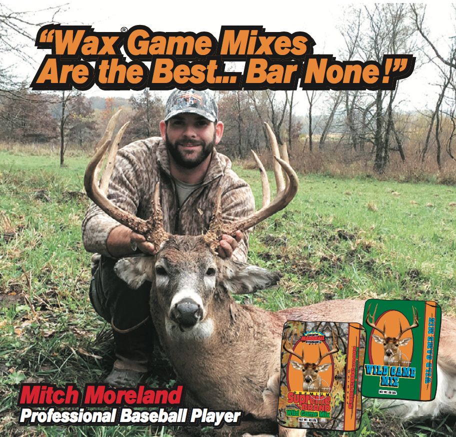Moreland Deer